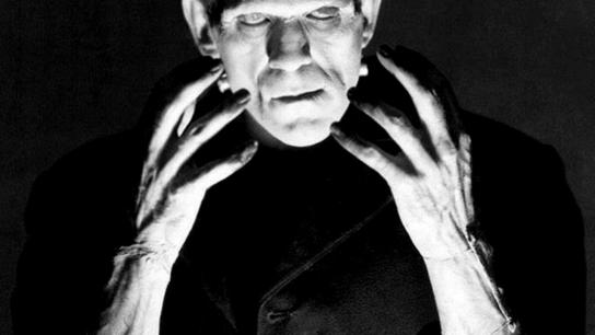 The Strange Life of Dr. Frankenstein (2018) Image