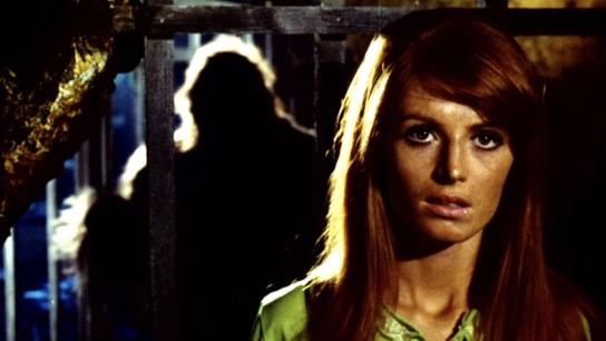 King of Kong Island (1968) Image