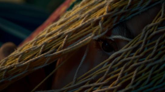 The Water's Whisper (2020) Image