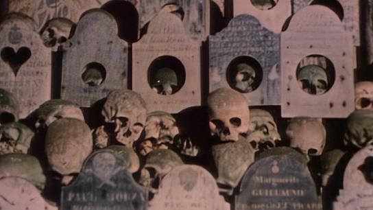 Faces of Death II (1981) Image