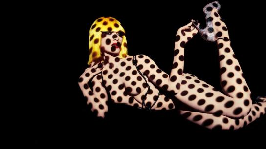 Feu: Crazy Horse Paris (2012) Image