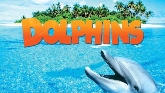Dolphins (2000) Image