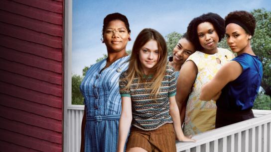 The Secret Life of Bees (2008) Image