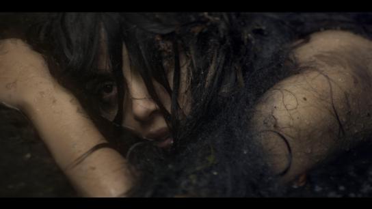 The Water's Whisper (2020) Image