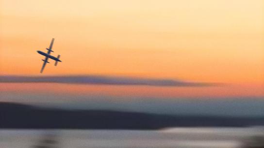 #SKYKING (2026) Image