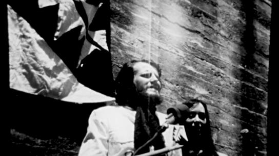 The Reversal of Richard Sun (1970) Image