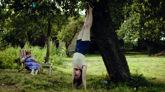 Sound of Falling (2025) Image