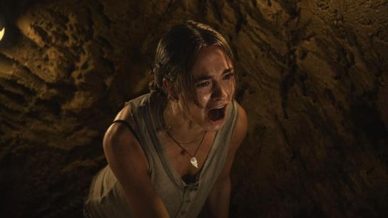 Primate (2026) Image