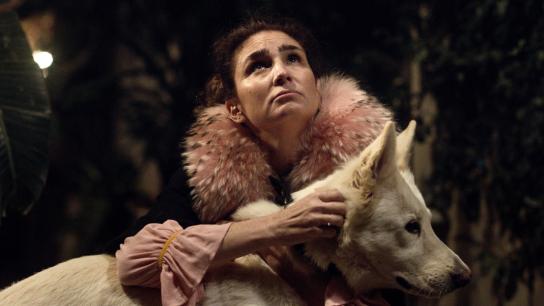 The Queen of Fear (2018) Image