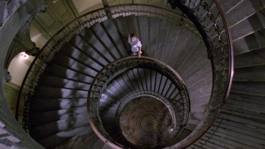 The Spider Labyrinth (1988) Image