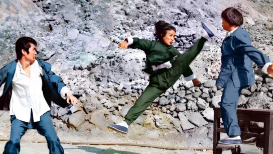 The Hot, the Cool and the Vicious (1977) Image