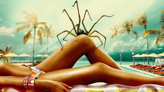 Spider Island (2026) Image