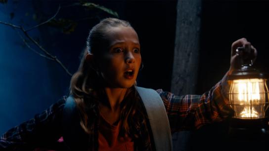 The Wildman of Shaggy Creek (2025) Image