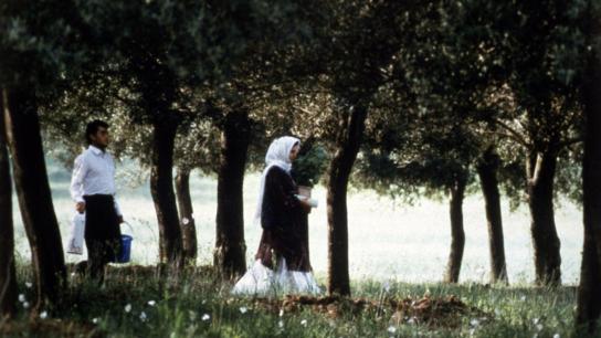 Through the Olive Trees (1994) Image