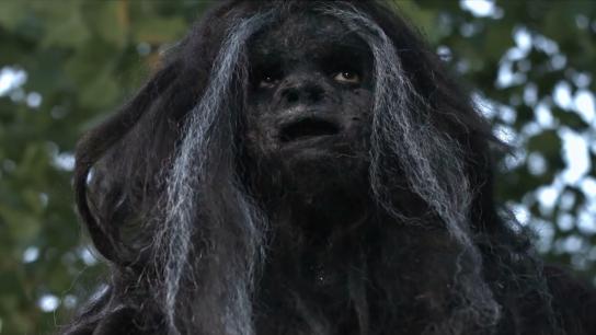 American Bigfoot (2016) Image