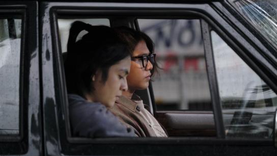 Stealing Raden Saleh (2022) Image