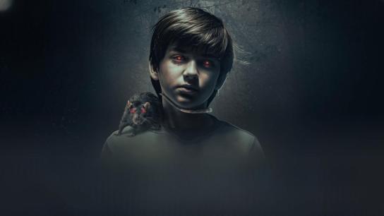 The Confession (2026) Image