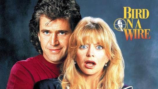 Bird on a Wire (1990) Image