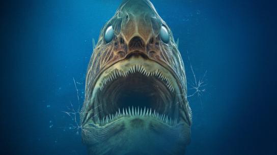 Aquarium of the Dead (2021) Image