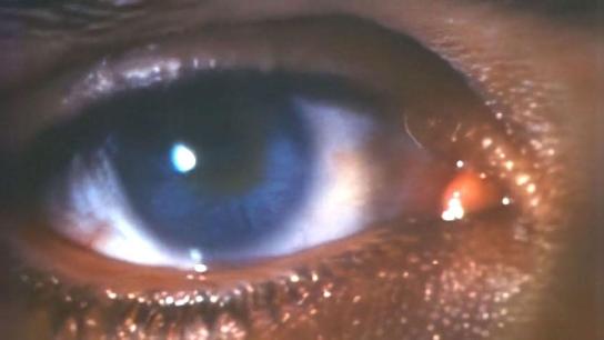 Faces of Death III (1985) Image