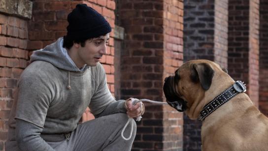 I Play Rocky (2026) Image
