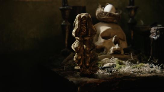 Infestation (2026) Image