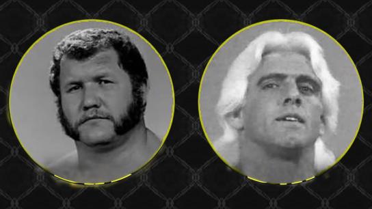 NWA Starrcade 1983 (1983) Image