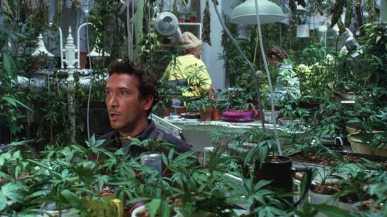 Saving Grace (2000) Image