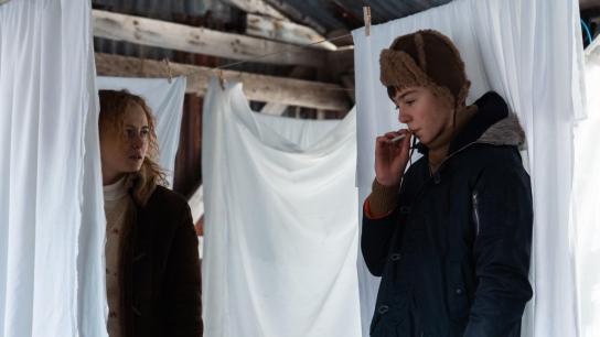 Cold (2023) Image