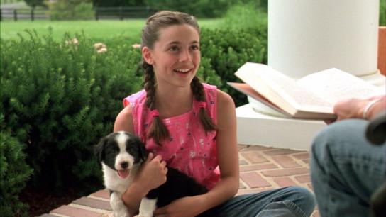 All Roads Lead Home (2008) Image