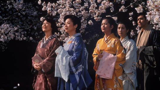 The Makioka Sisters (1983) Image