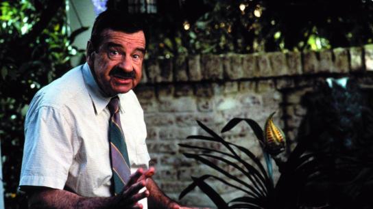 Dennis the Menace (1993) Image