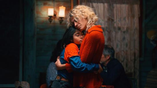 The Mysterious Gaze of the Flamingo (2025) Image