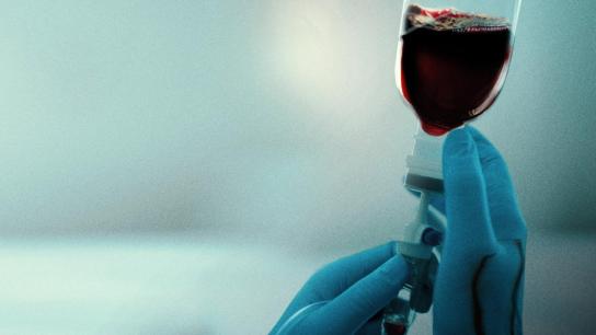 A Nurse to Die For (2023) Image