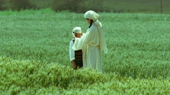 Living the Land (2025) Image