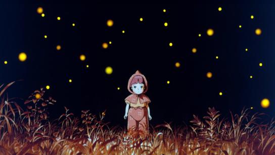 Grave of the Fireflies (1988) Image