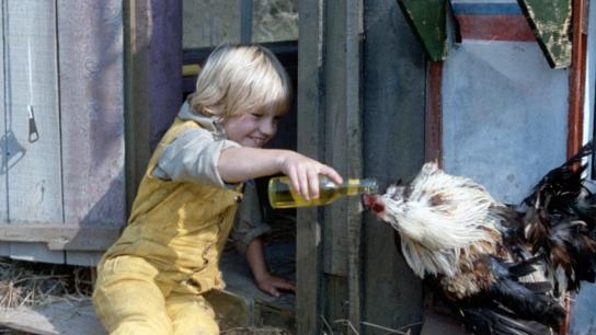 Little Virgil and Freddy Frogface (1980) Image