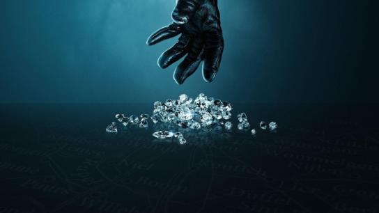 Stolen: Heist of the Century (2025) Image