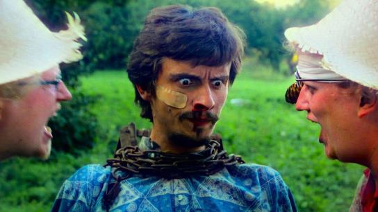 Chainsaws Were Singing (2024) Image