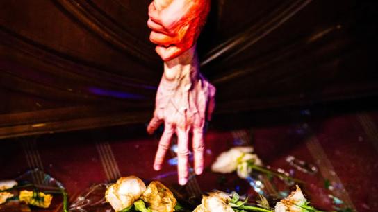 Resurrection (2025) Image