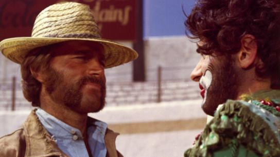 The Mercenary (1968) Image
