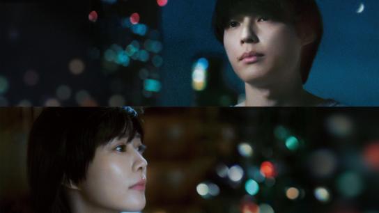 5 Centimeters per Second (2025) Image