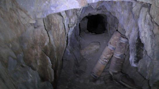 The Wilderness Tapes: Volume One (2026) Image