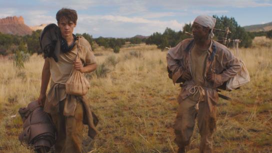 The Wilderness (2025) Image