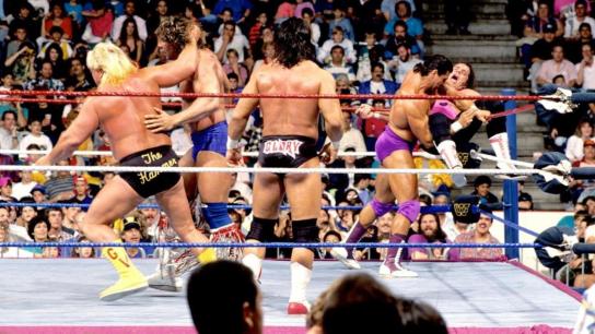 WWE Royal Rumble 1991 (1991) Image