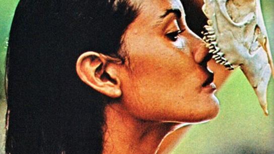 Emanuelle: Queen of the Desert (1982) Image