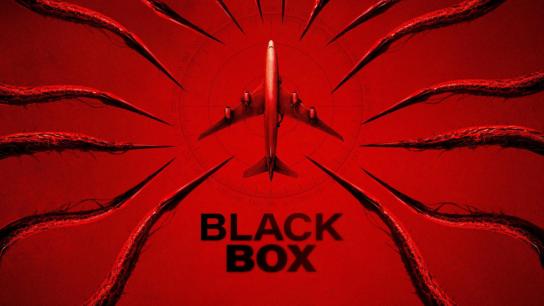 Black Box (Flight 298) (2026) Image