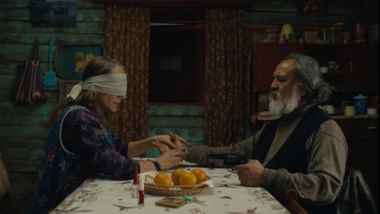 The Mysterious Gaze of the Flamingo (2025) Image