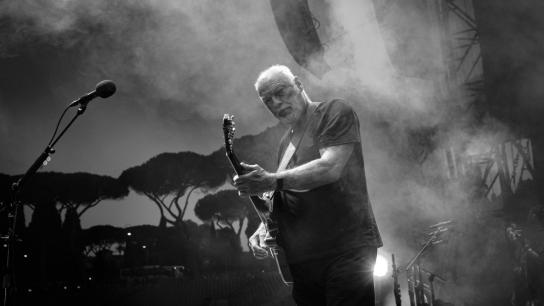 David Gilmour Live at the Circus Maximus, Rome (2025) Image