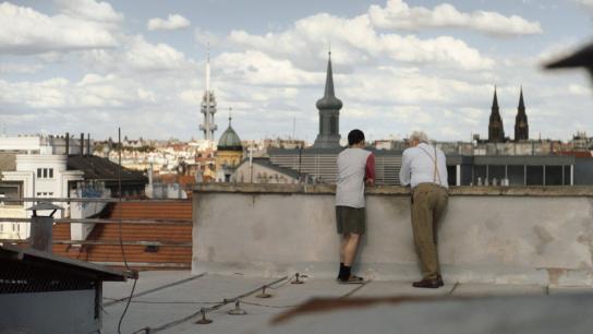 On the Roof (2019) Image